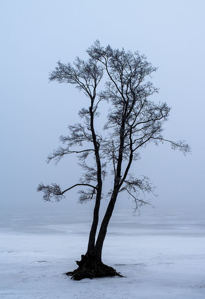 Photograph by Андрей Кузнецов
