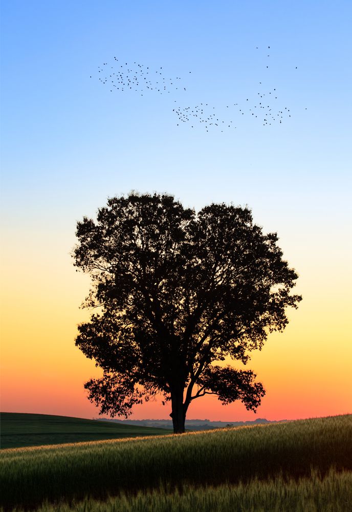 Photograph by Valdir Hobus