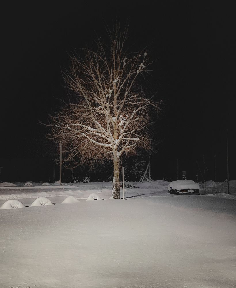 Photograph by Сергей Ратников