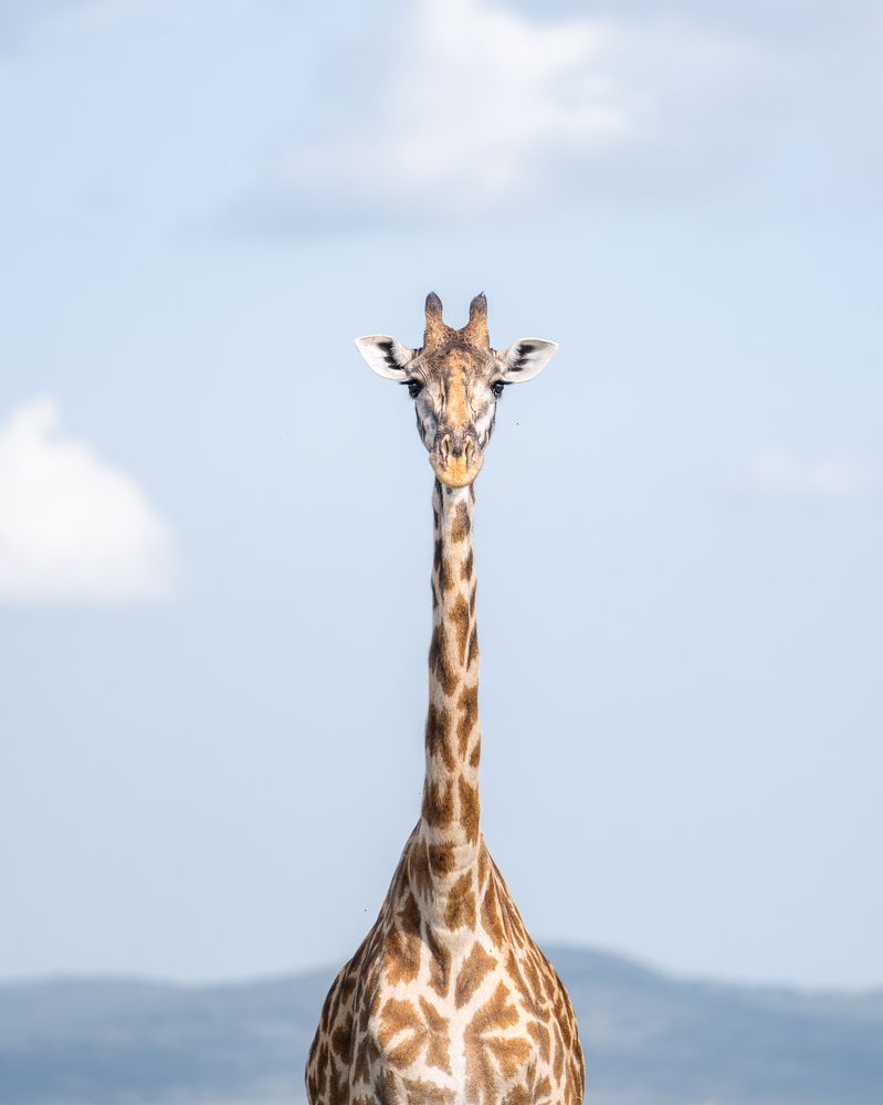 Photograph by Jayakumar MN