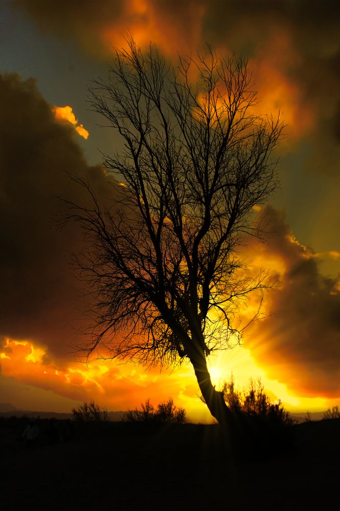 Photograph by Siamak Sabet