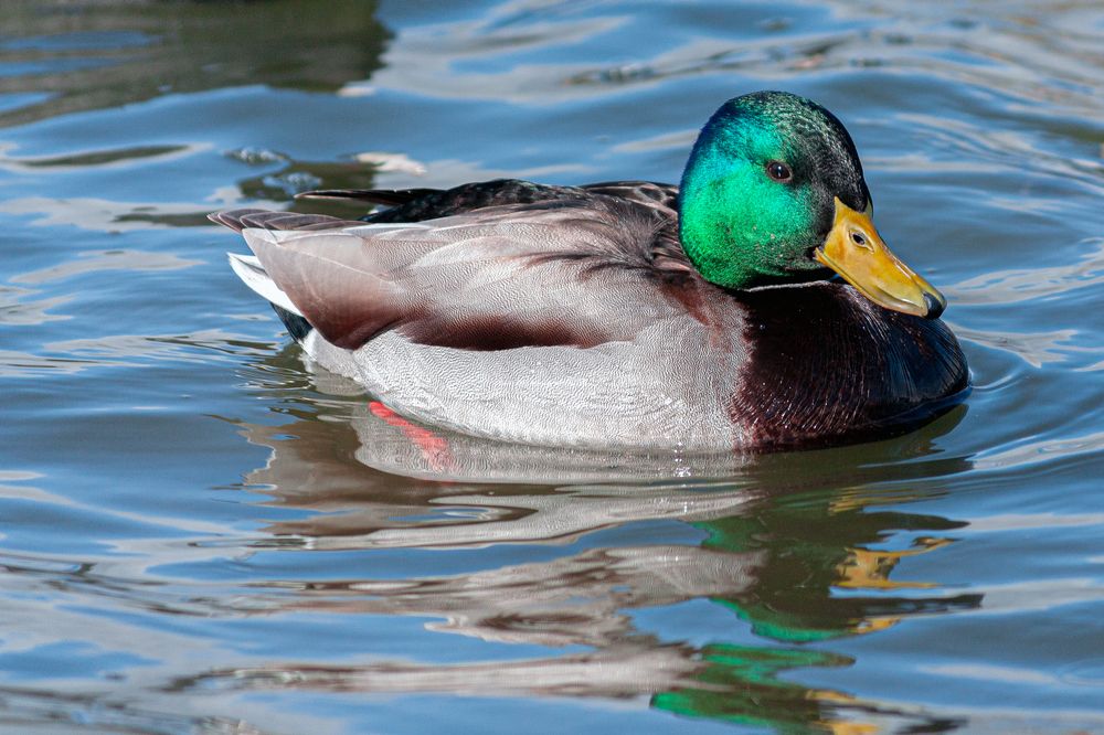 Photograph by Сергей Христинич