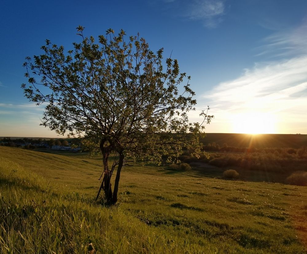 Photograph by Назлыгуль Малашова