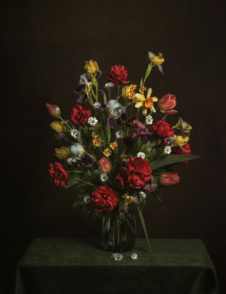 Photograph by Хаева Марина