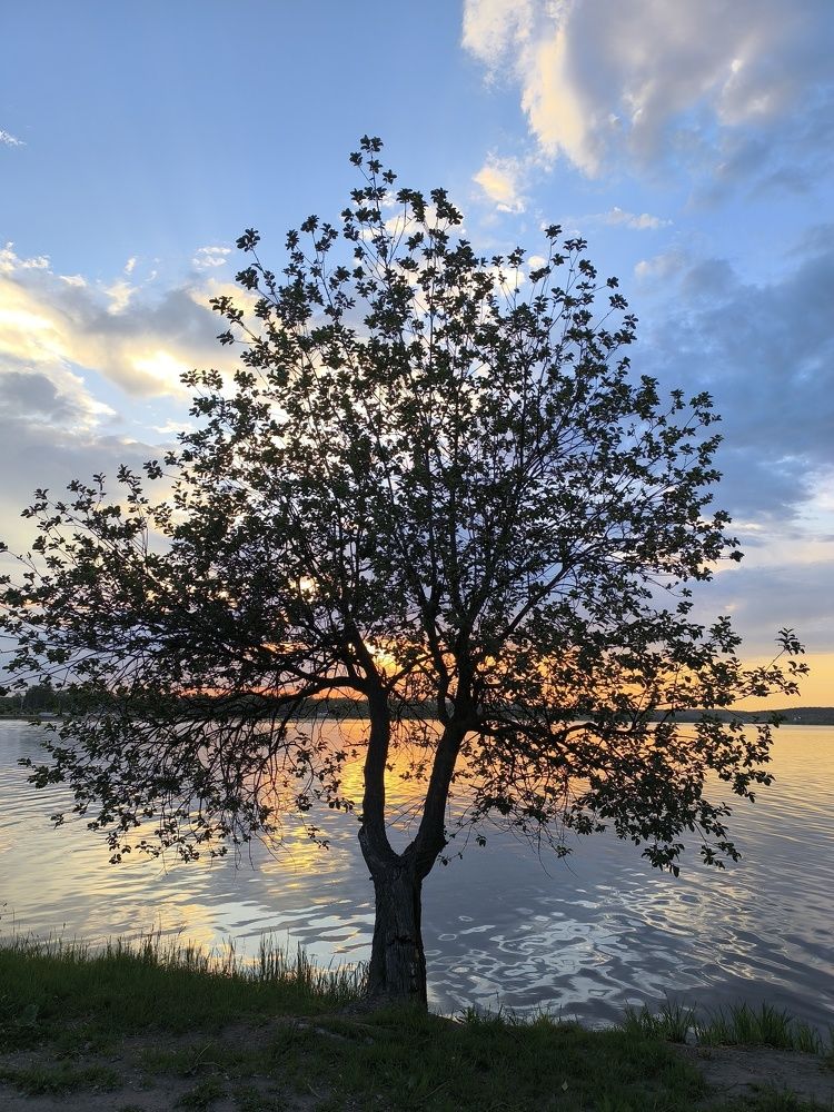 Photograph by Людмила Муравьева