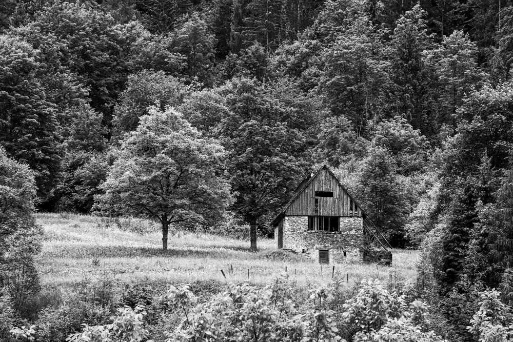 Photograph by Luca Menotti