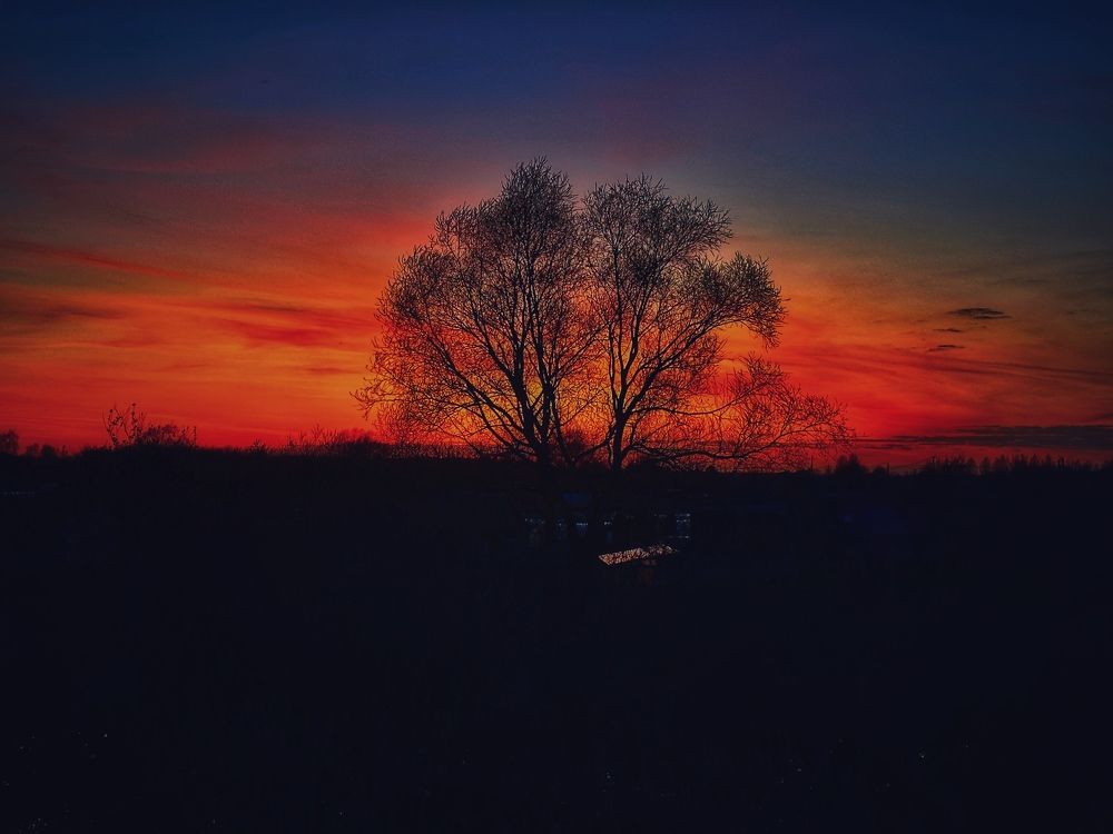 Photograph by Григорий Лыжин