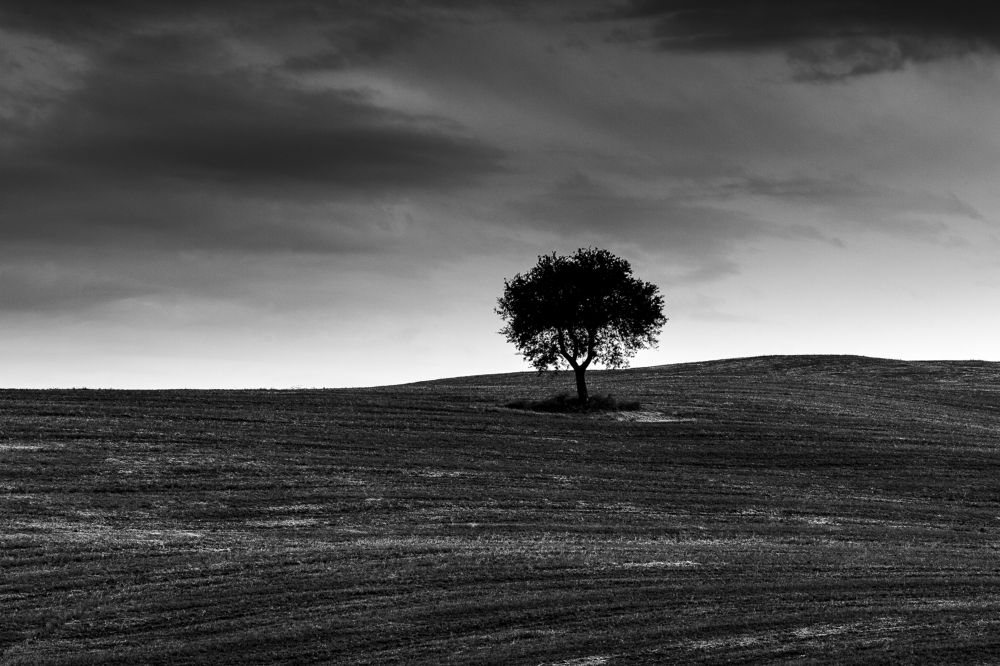 Photograph by Игорь Соколовский