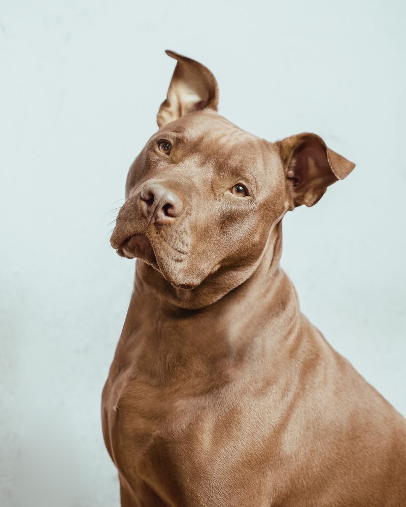 Photograph by Leandro Stanco