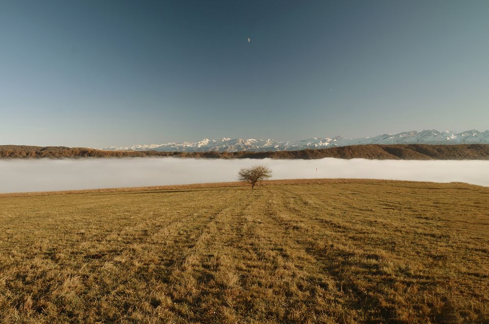 Photograph by Хаева Марина