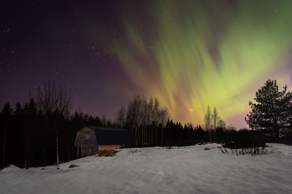 Фотография автора Алексей Туренков