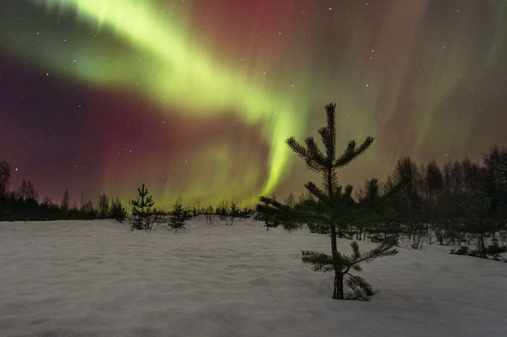 Фотография автора Алексей Туренков