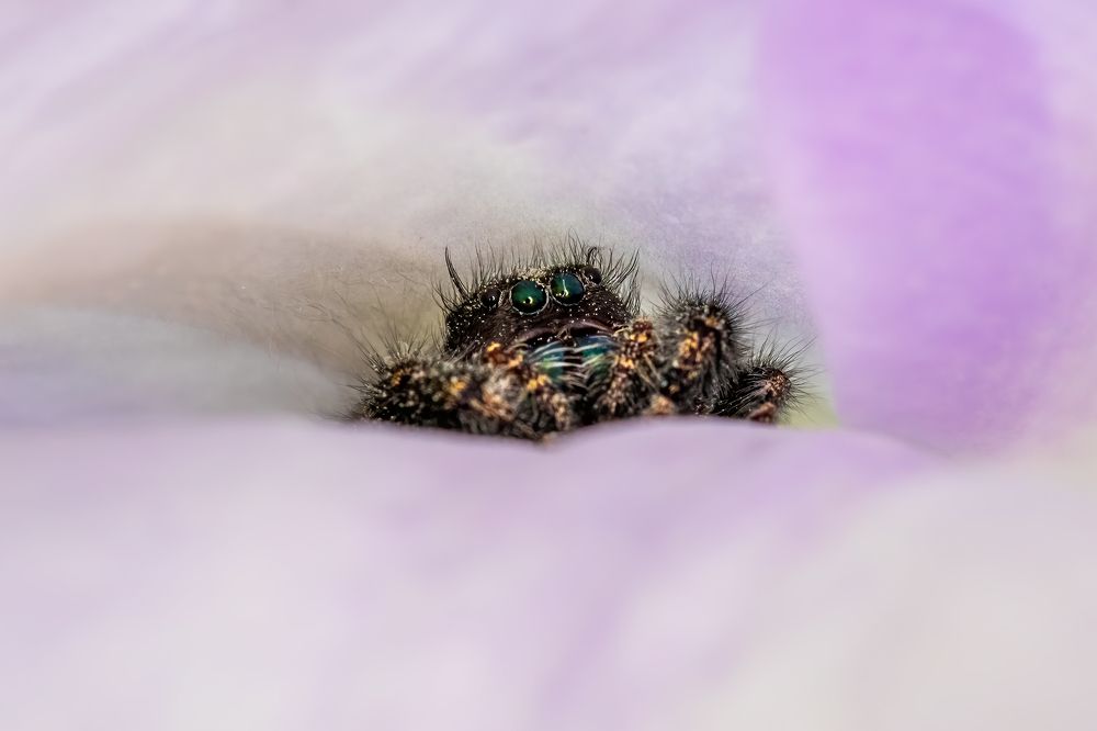 Photograph by Zhenhuan Zhou