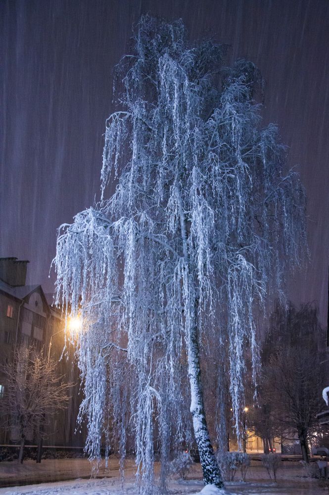 Одиночество ночь - 1