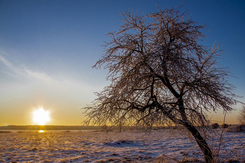 Одиночество утро - 1