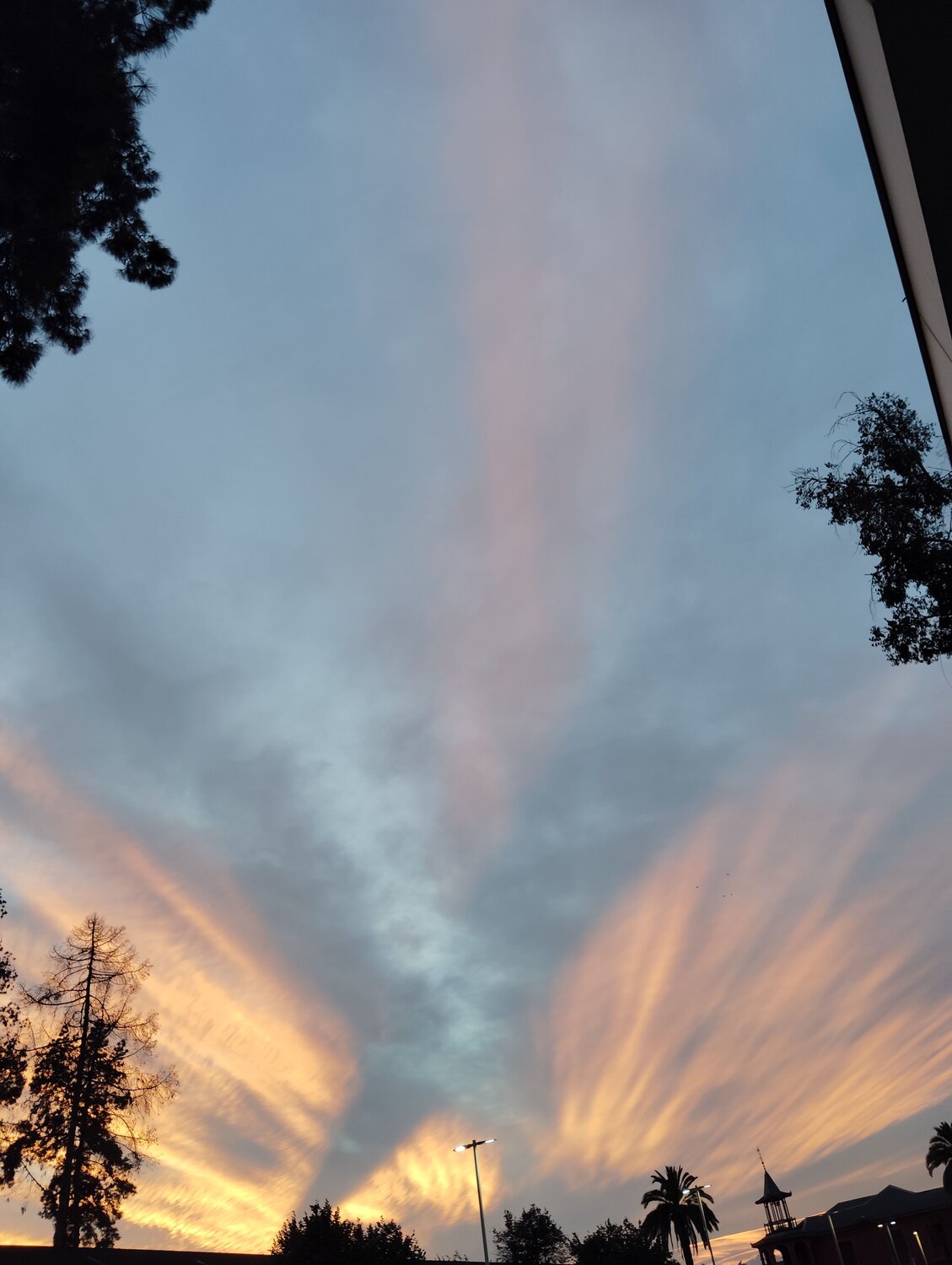 Photo #10640955