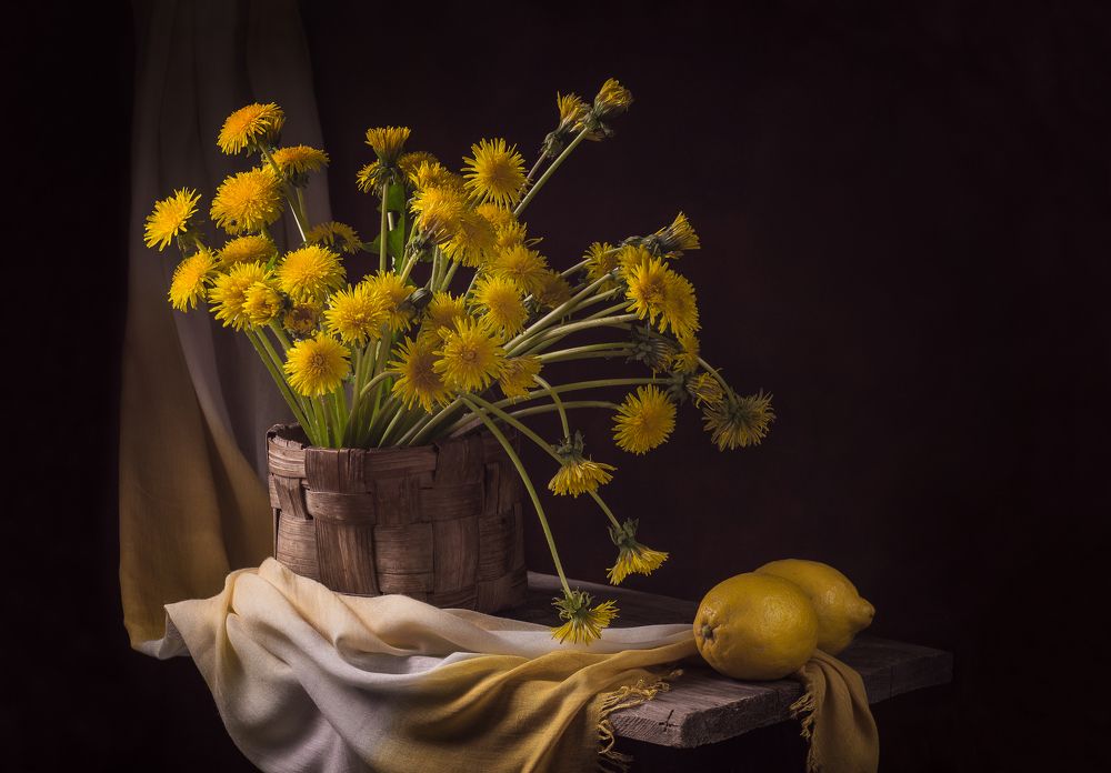 Photograph by Хвойнова Елена