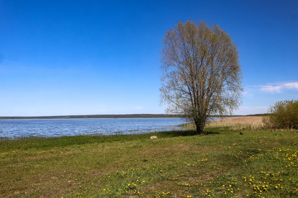 Photograph by Сергей Назаредский