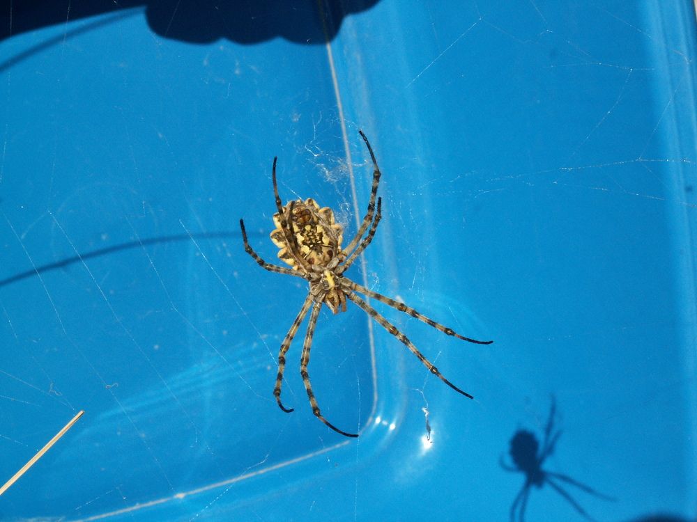 Photograph by София Лаврентьева