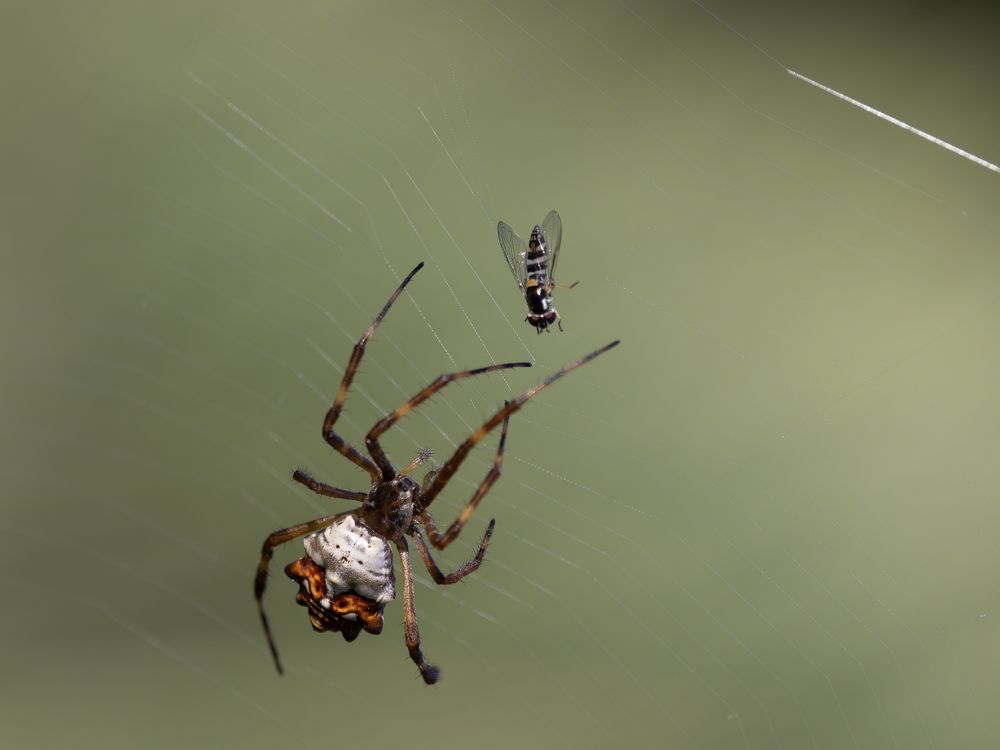 Photograph by Esteban Argerich