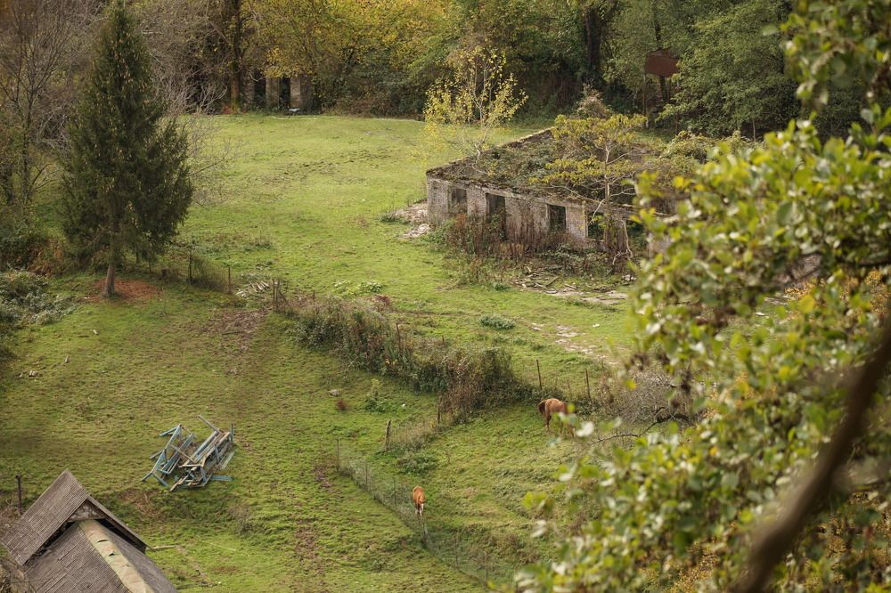 Photograph by Алфия Бугакова