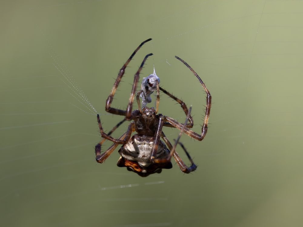 Photograph by Esteban Argerich