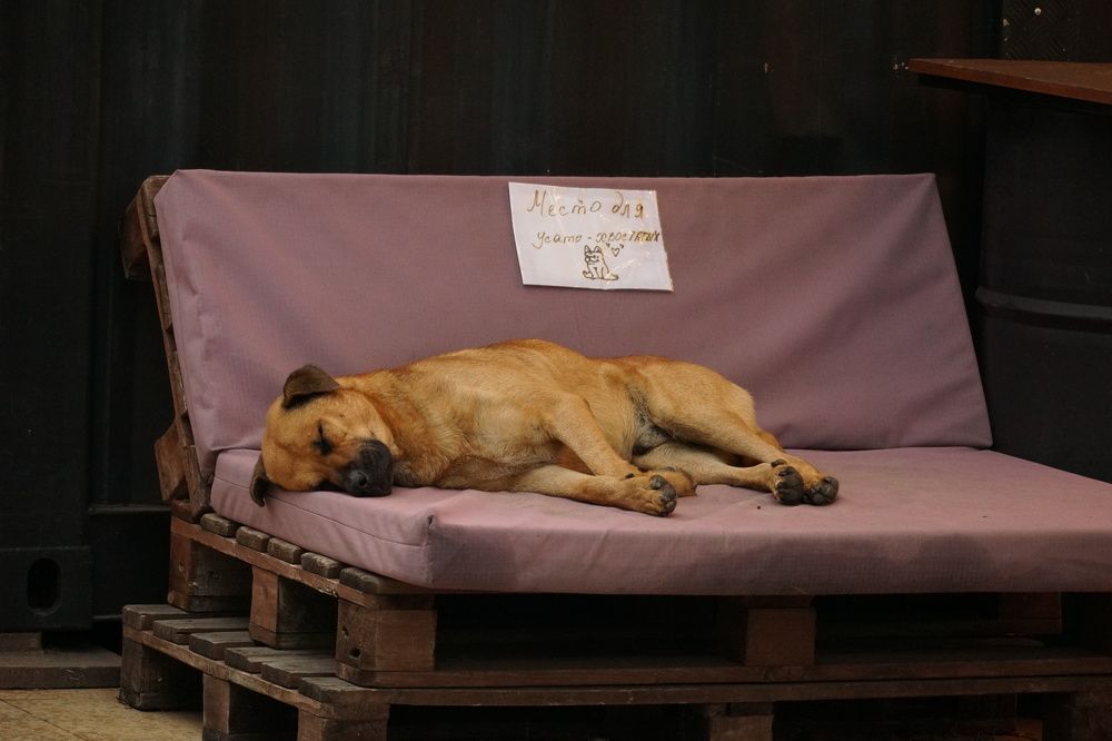 Photograph by Алфия Бугакова