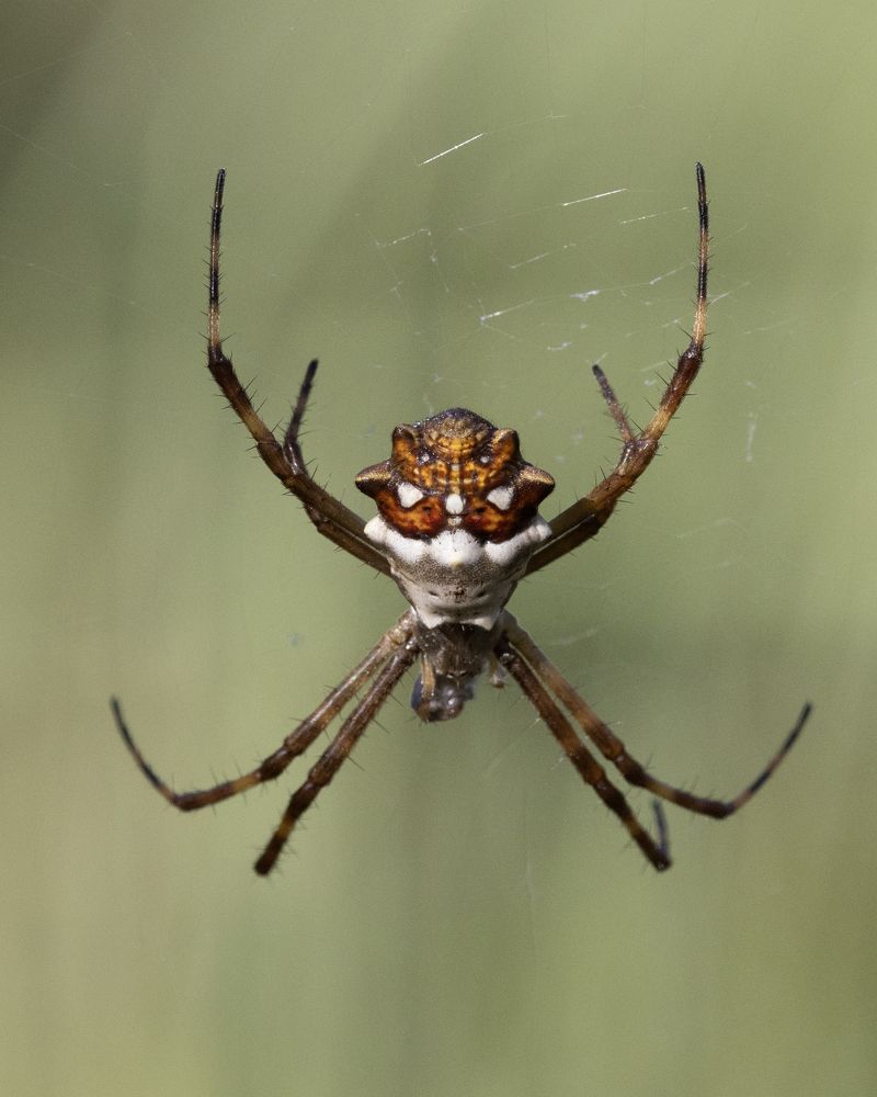 Photograph by Esteban Argerich