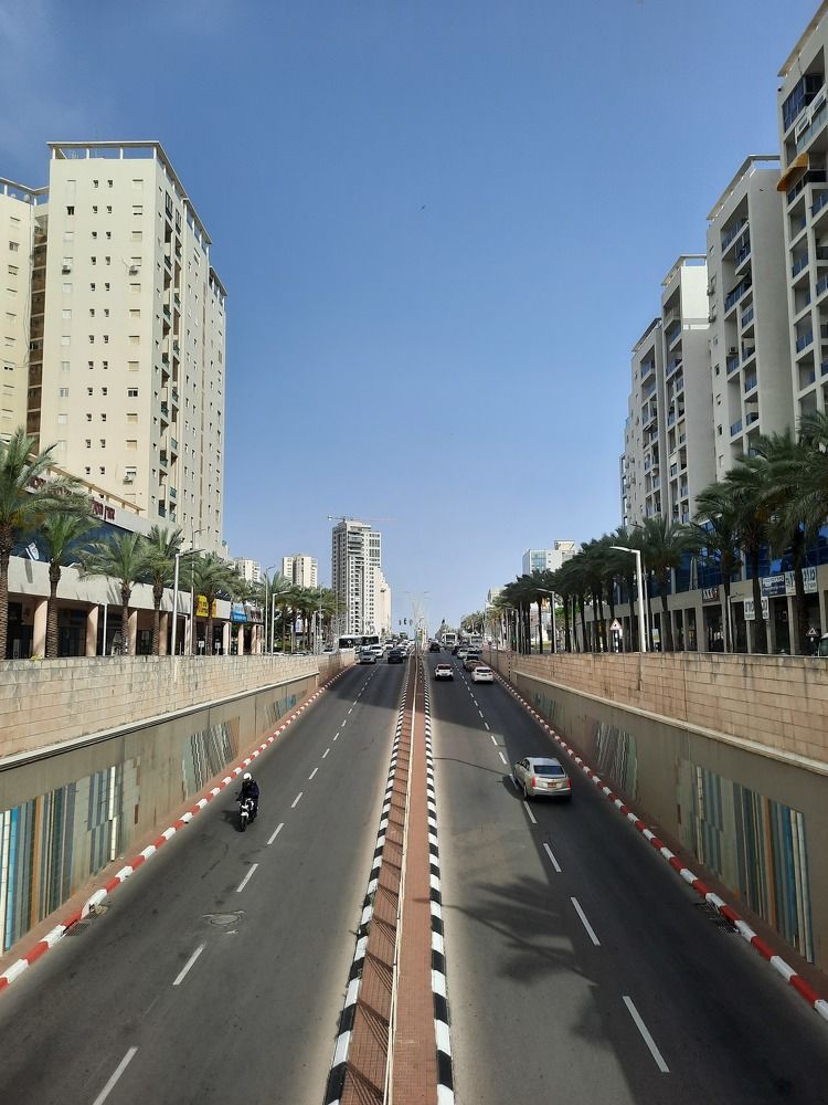 Фотография автора Tetiana Danylenko