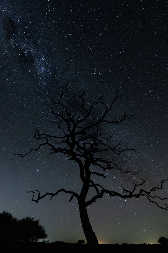 Photograph by Esteban Argerich