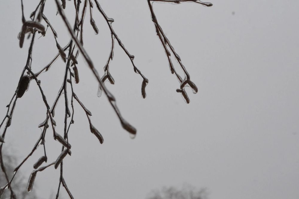 Фотография автора Антонина Клементьева