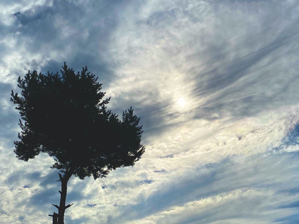 Photograph by Ольга Шабалина