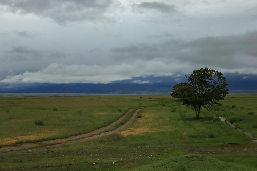 Photograph by Aleksandra