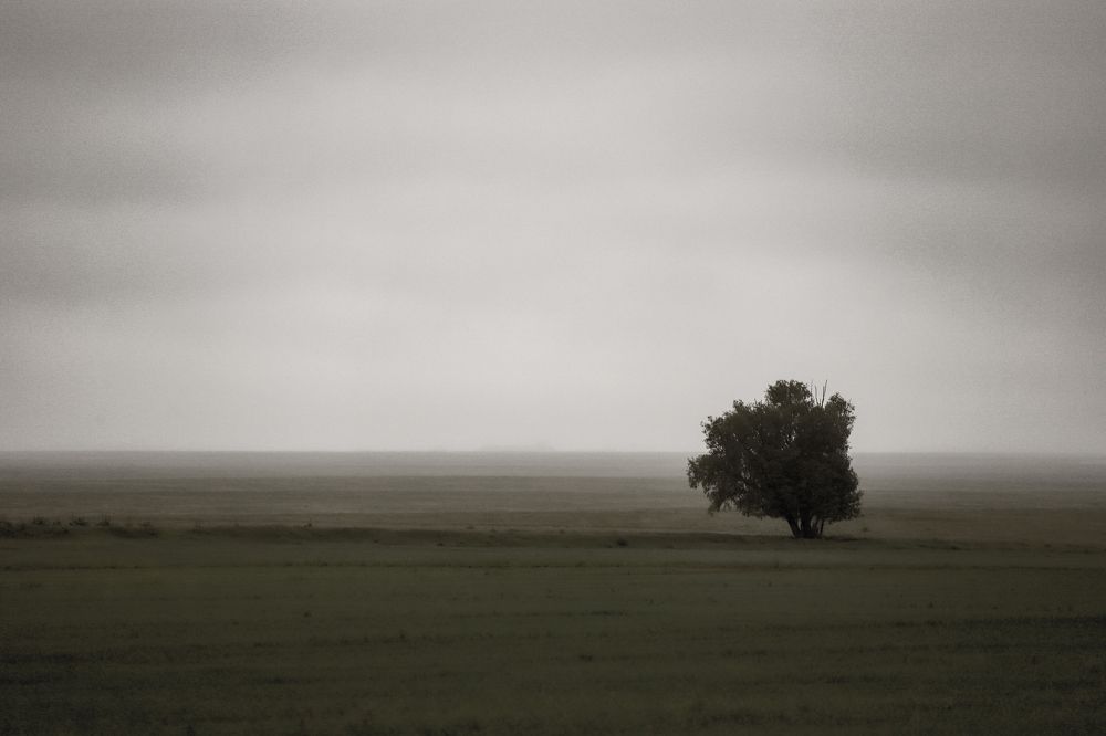 Photograph by Aleksandra