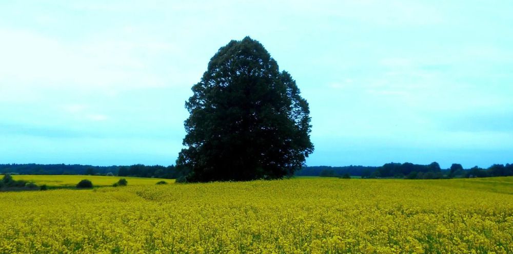 Photograph by Sergio Oleksenko