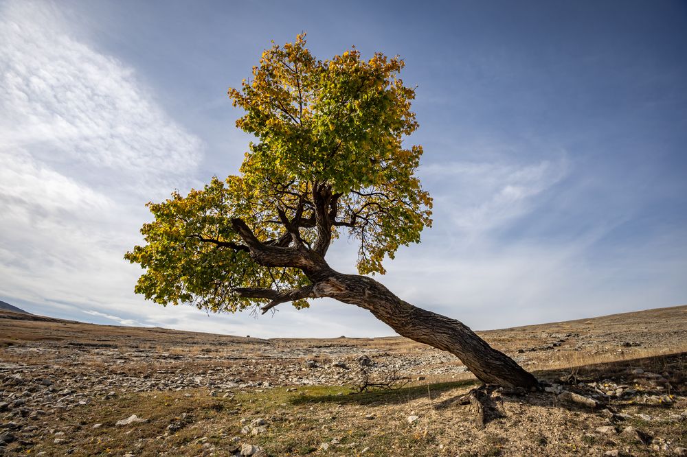 Photograph by Татьяна Тарасова