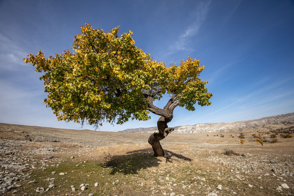Photograph by Татьяна Тарасова