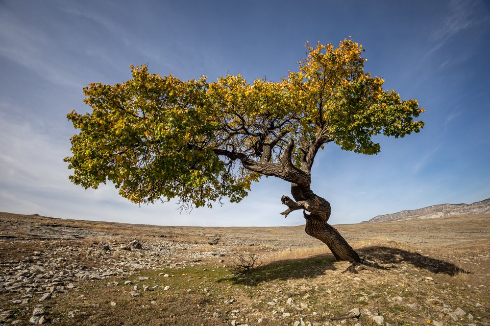 Photograph by Татьяна Тарасова