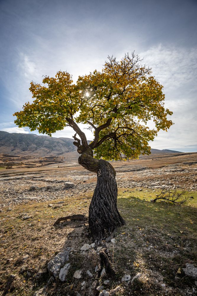 Photograph by Татьяна Тарасова