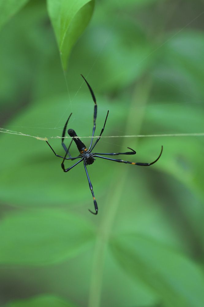 Photograph by Sayan Banerjee