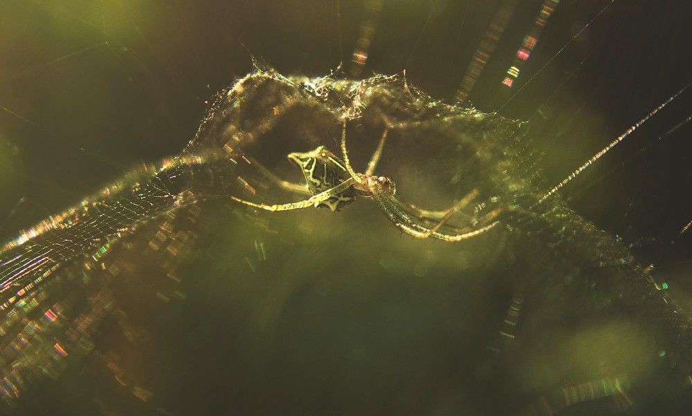 Photograph by Sayan Banerjee