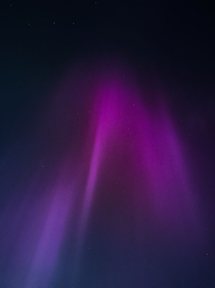 Фотография автора Олеся Непомнящих