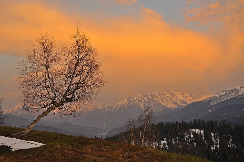 Photograph by Александр Глебов