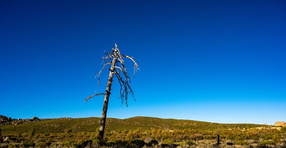 Photograph by Luis Rodríguez Araiza