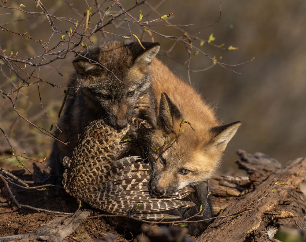 Photograph by gary manning