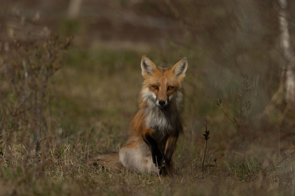 Photograph by gary manning