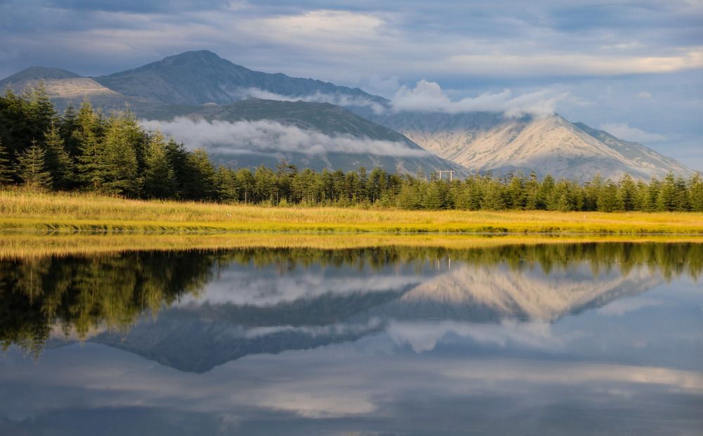 Летняя симметрия