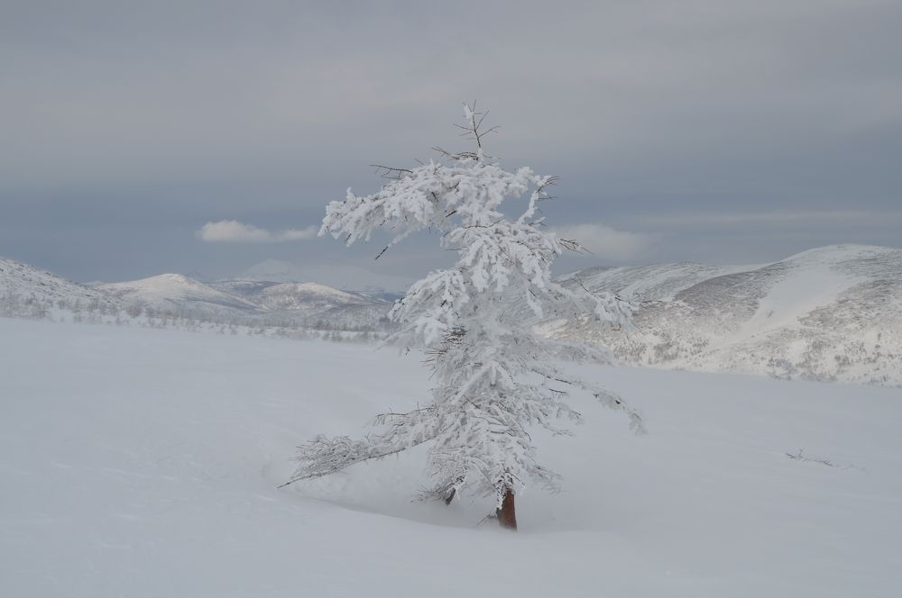 Photograph by Евгений Захаров