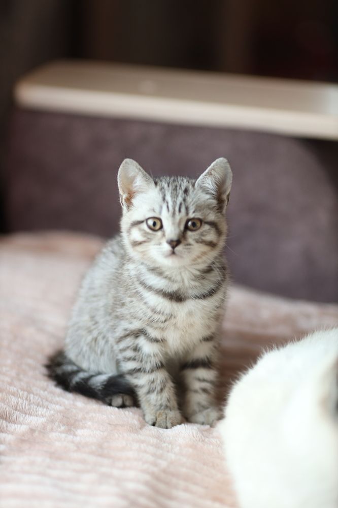 Photograph by Светлана Шевченко