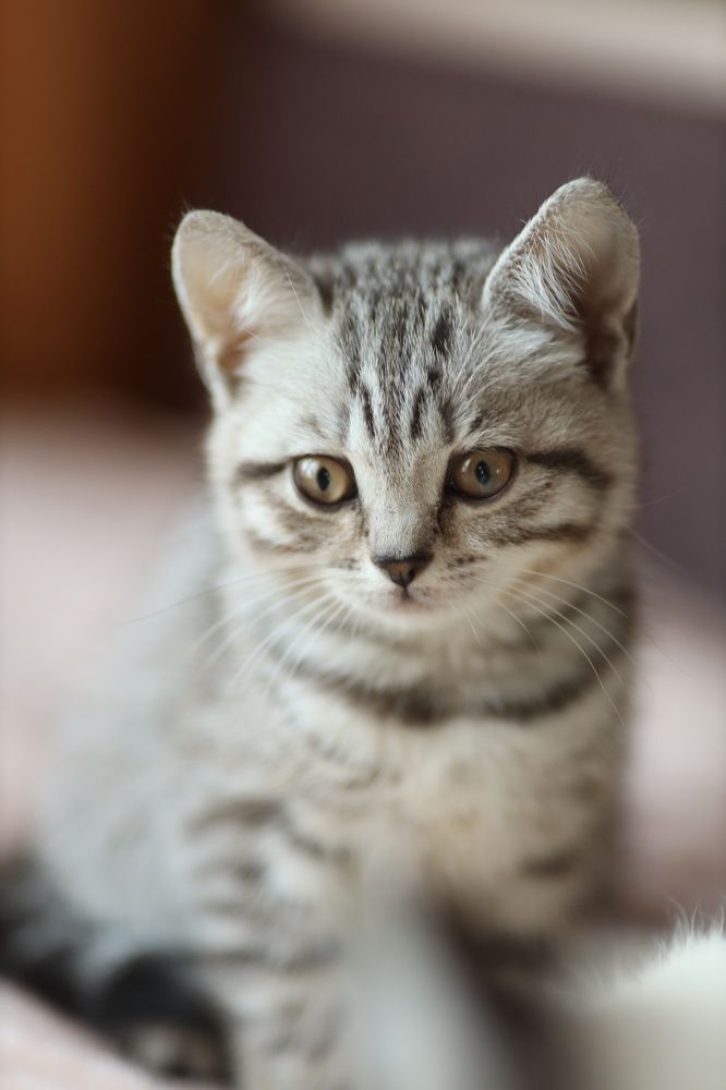 Photograph by Светлана Шевченко